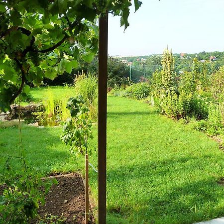 Ubytování Vinohrady 73 Znojmo Exteriér fotografie