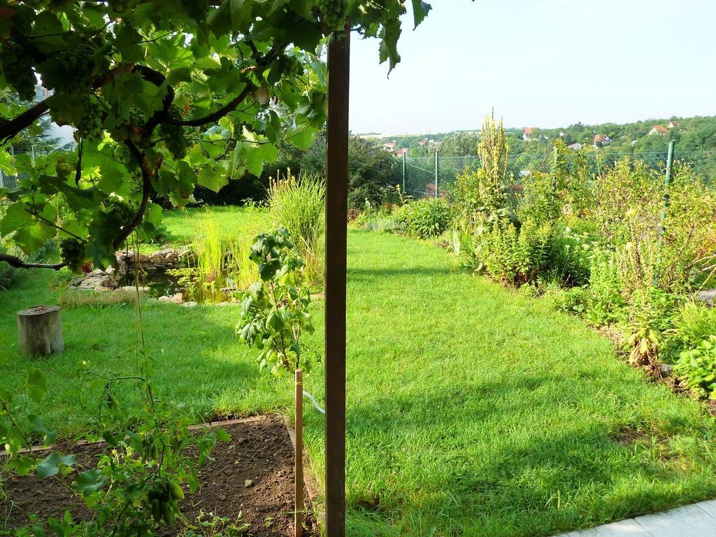 Ubytování Vinohrady 73 Znojmo Exteriér fotografie